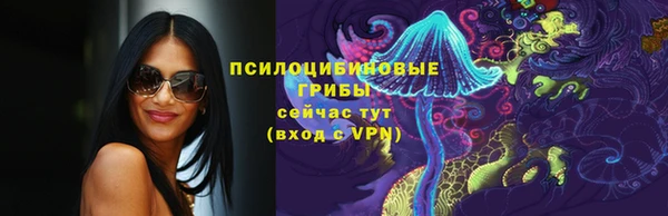 крисы Абдулино