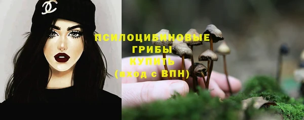 спиды Абинск