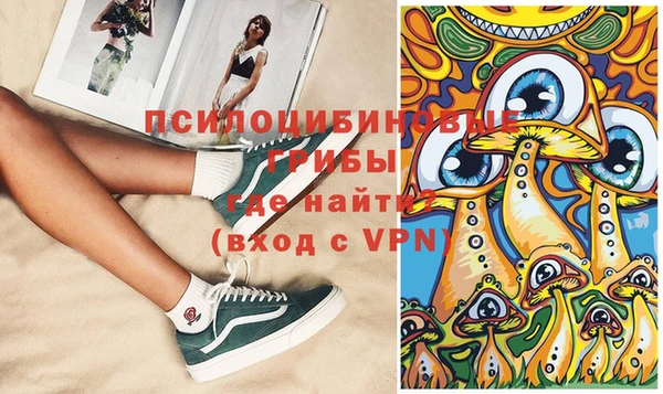 крисы Абдулино