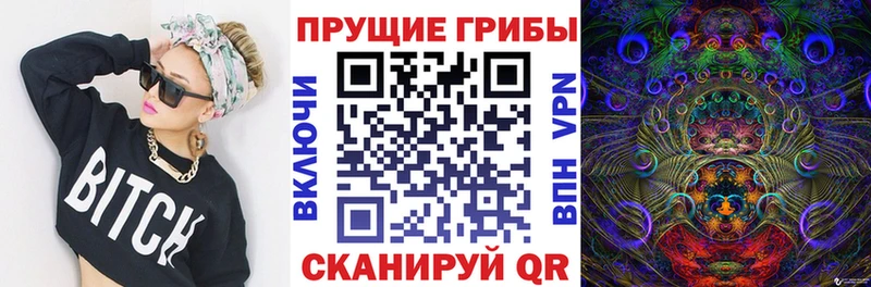 Галлюциногенные грибы GOLDEN TEACHER  OMG онион  Октябрьский 