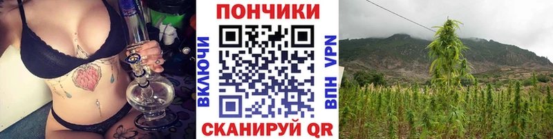 Шишки марихуана Bruce Banner Октябрьский