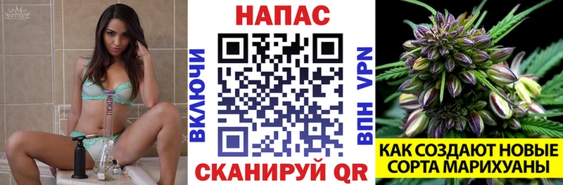 Бошки марихуана семена  купить   Октябрьский 